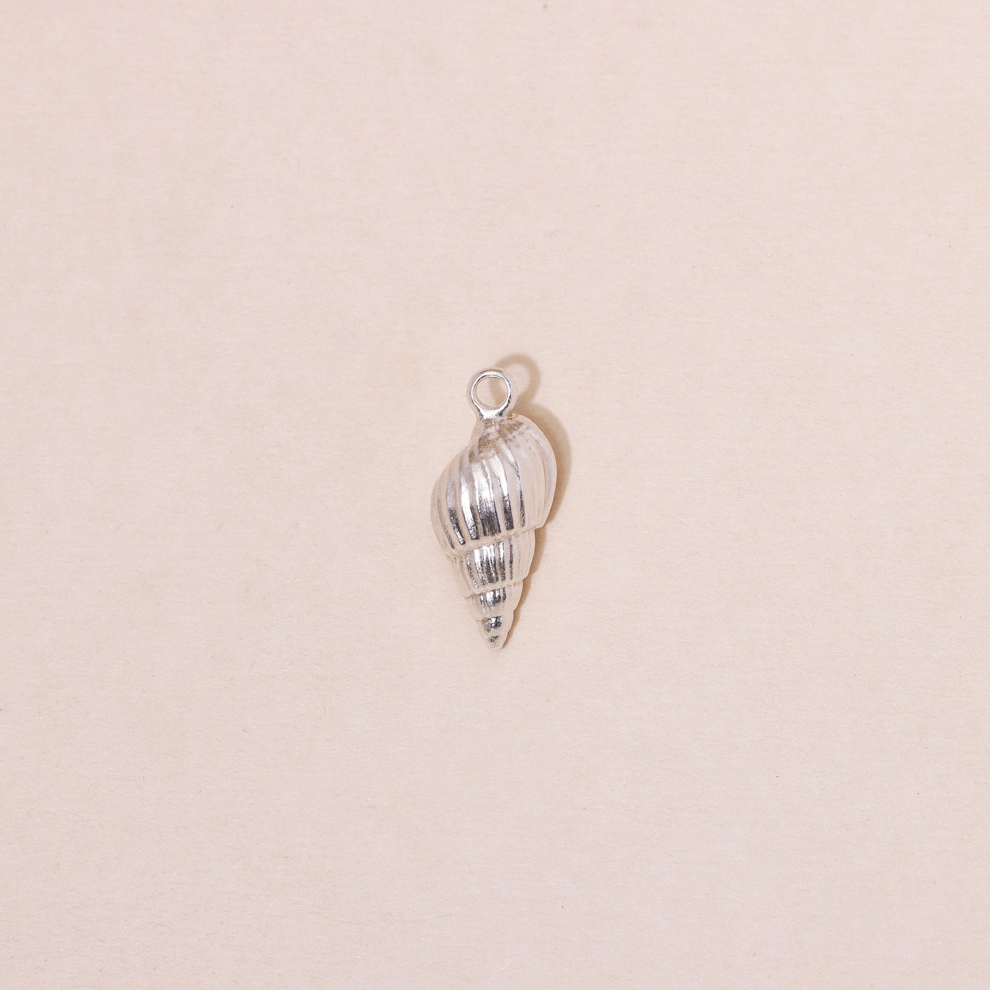 Sea Shell Hoop Earrings