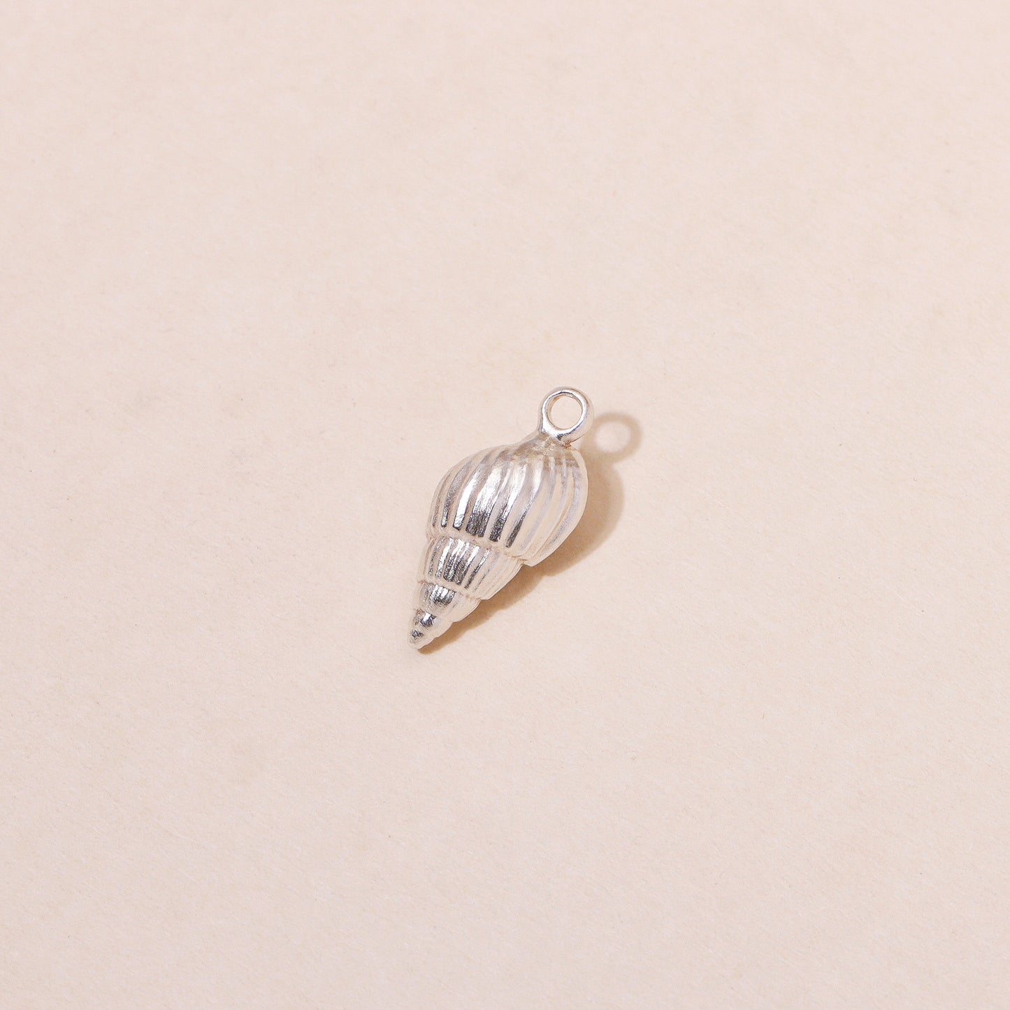 Sea Shell Hoop Earrings