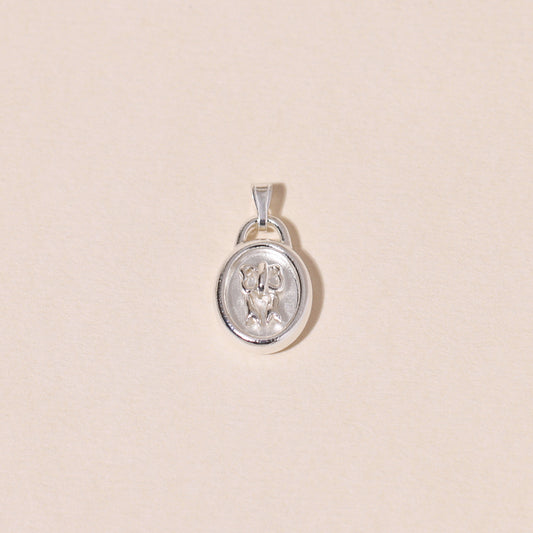 Sweet Oval-Framed Bow Charm Necklace