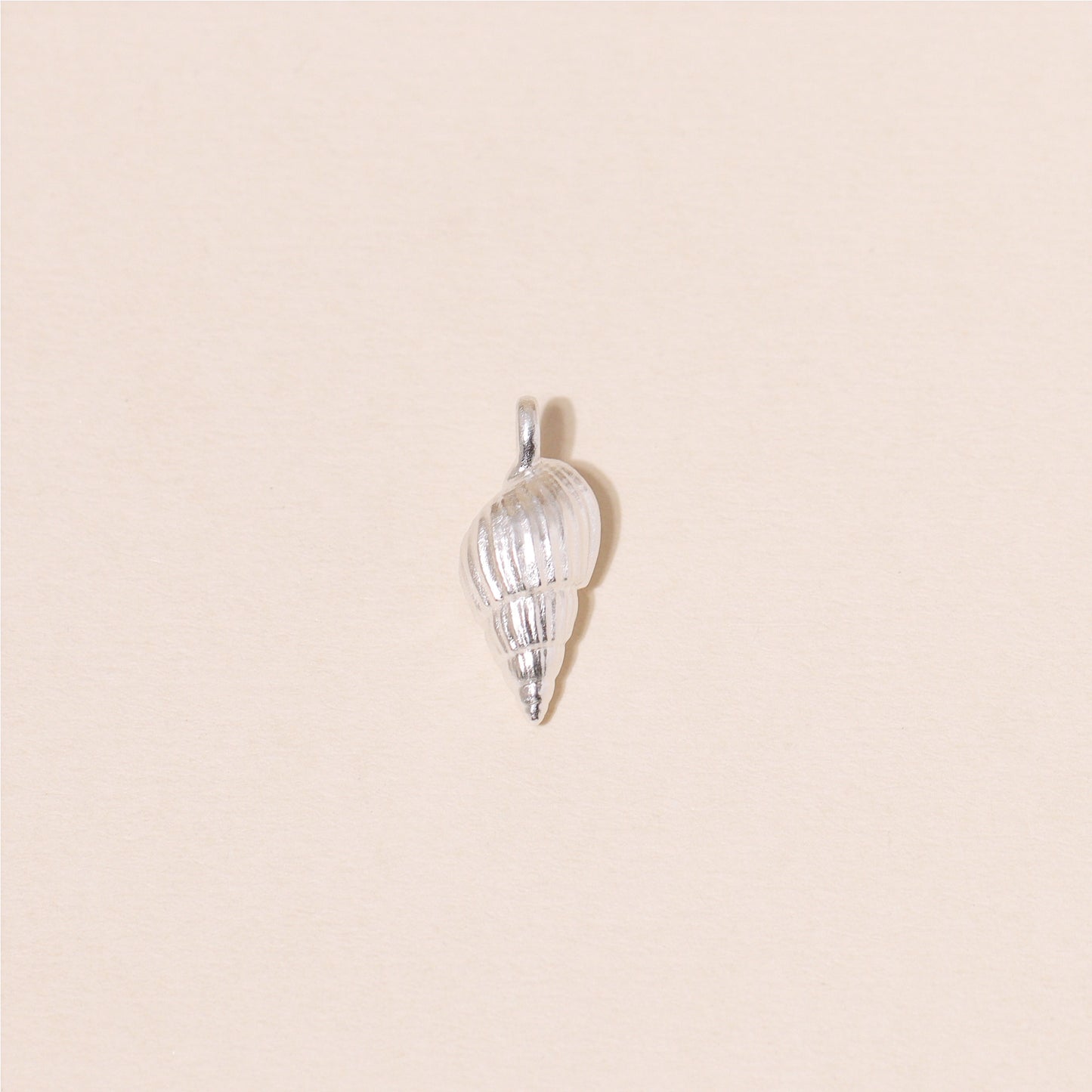Auger Seashell Charm Necklace