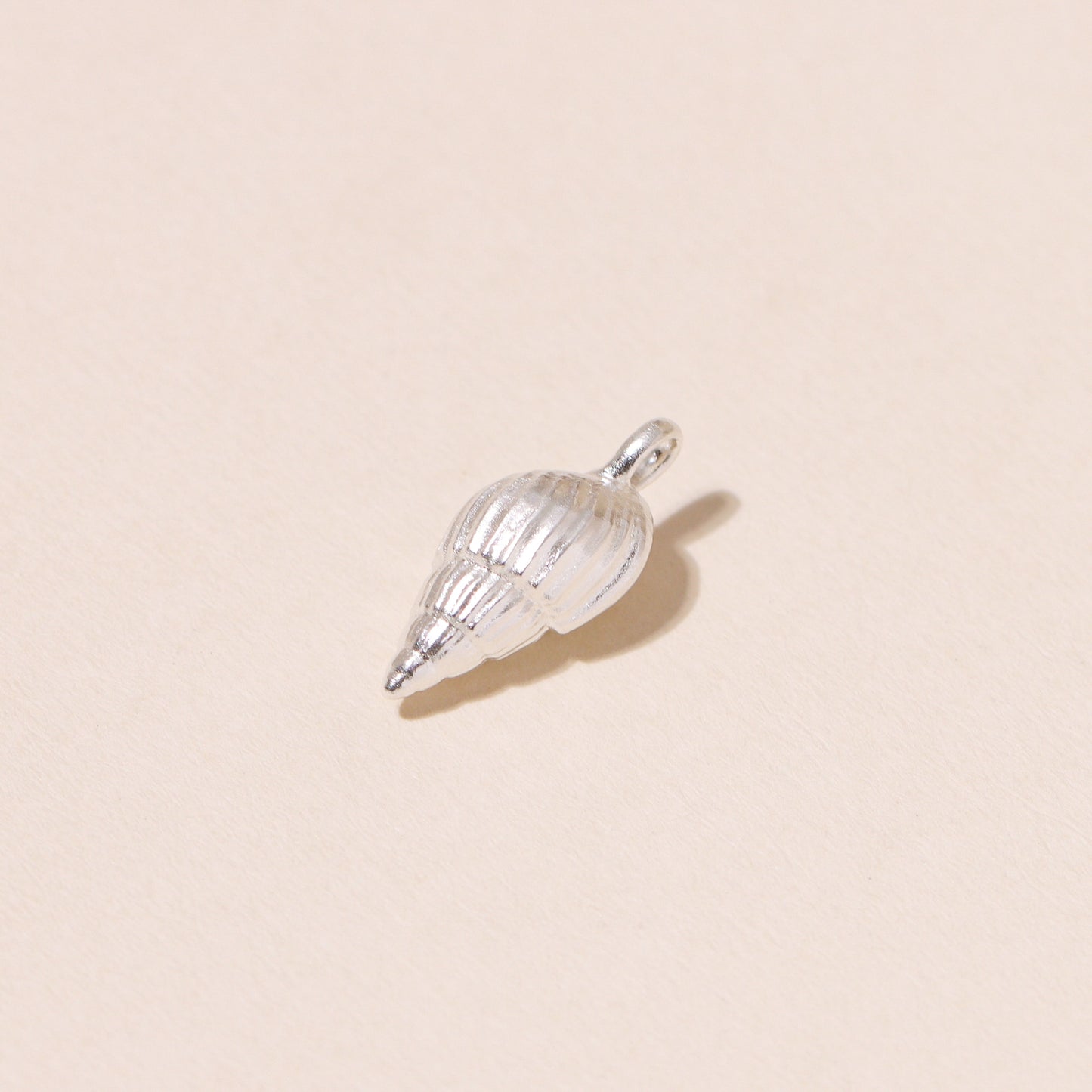Auger Seashell Charm Necklace