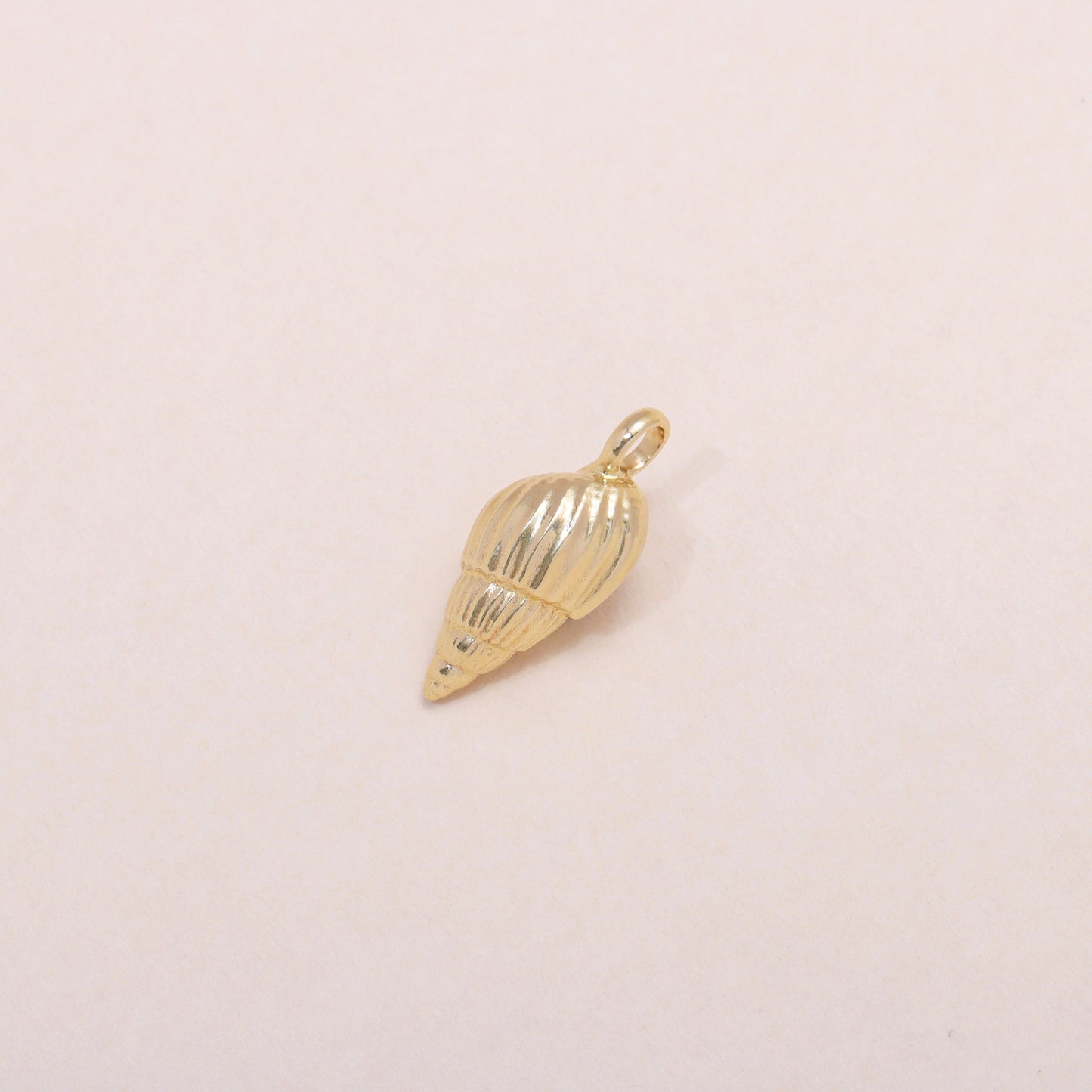 Auger Seashell Charm Necklace 14K Solid Gold