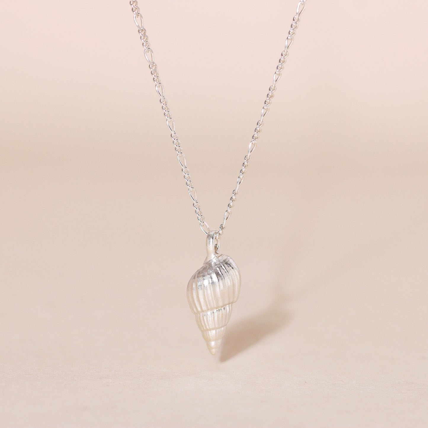 Auger Seashell Charm Necklace
