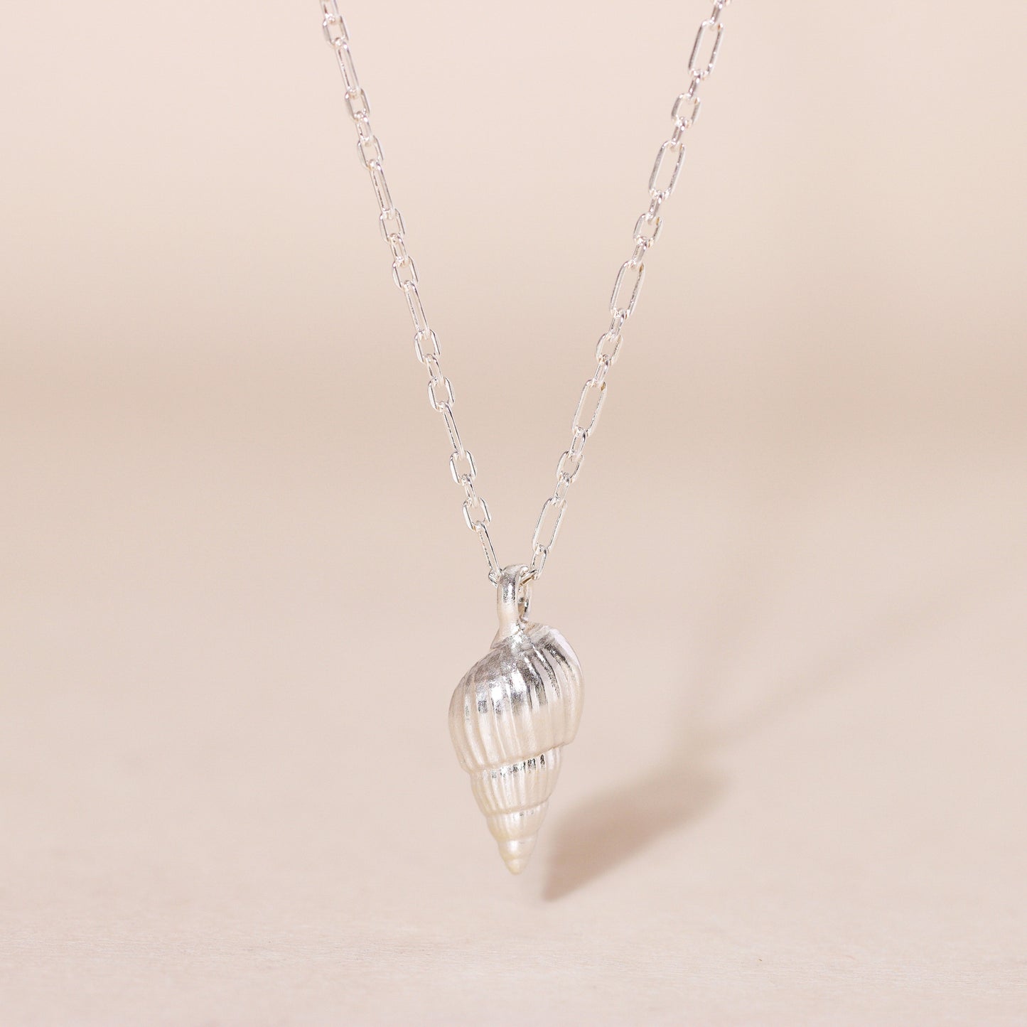Auger Seashell Charm Necklace