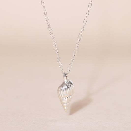 Auger Seashell Charm Necklace