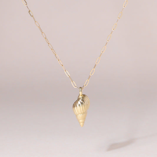 Auger Seashell Charm Necklace 14K Solid Gold