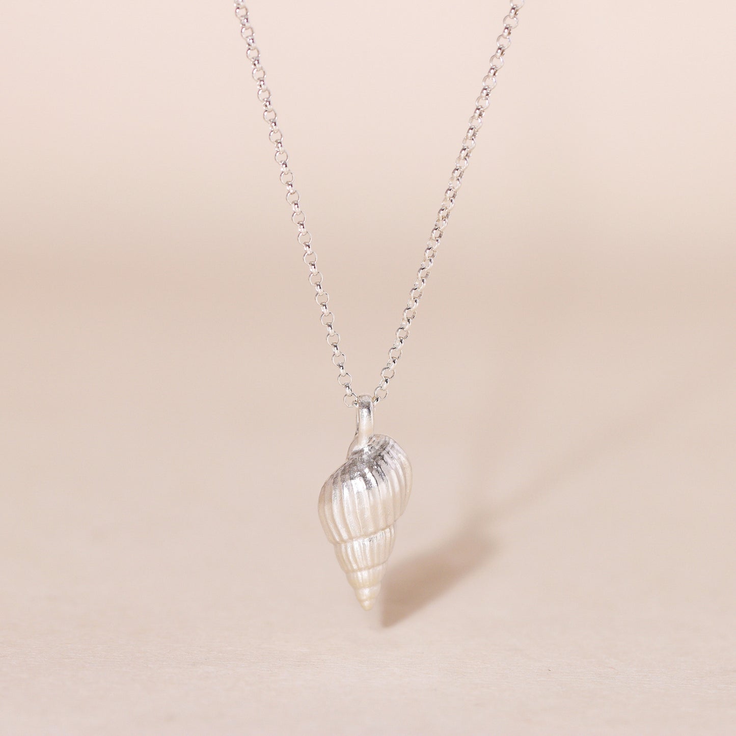 Auger Seashell Charm Necklace