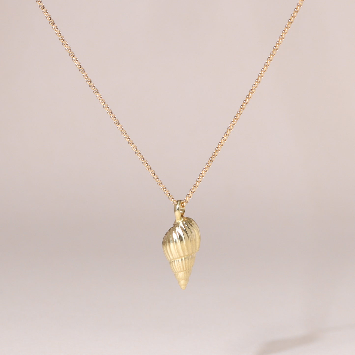 Auger Seashell Charm Necklace 14K Solid Gold