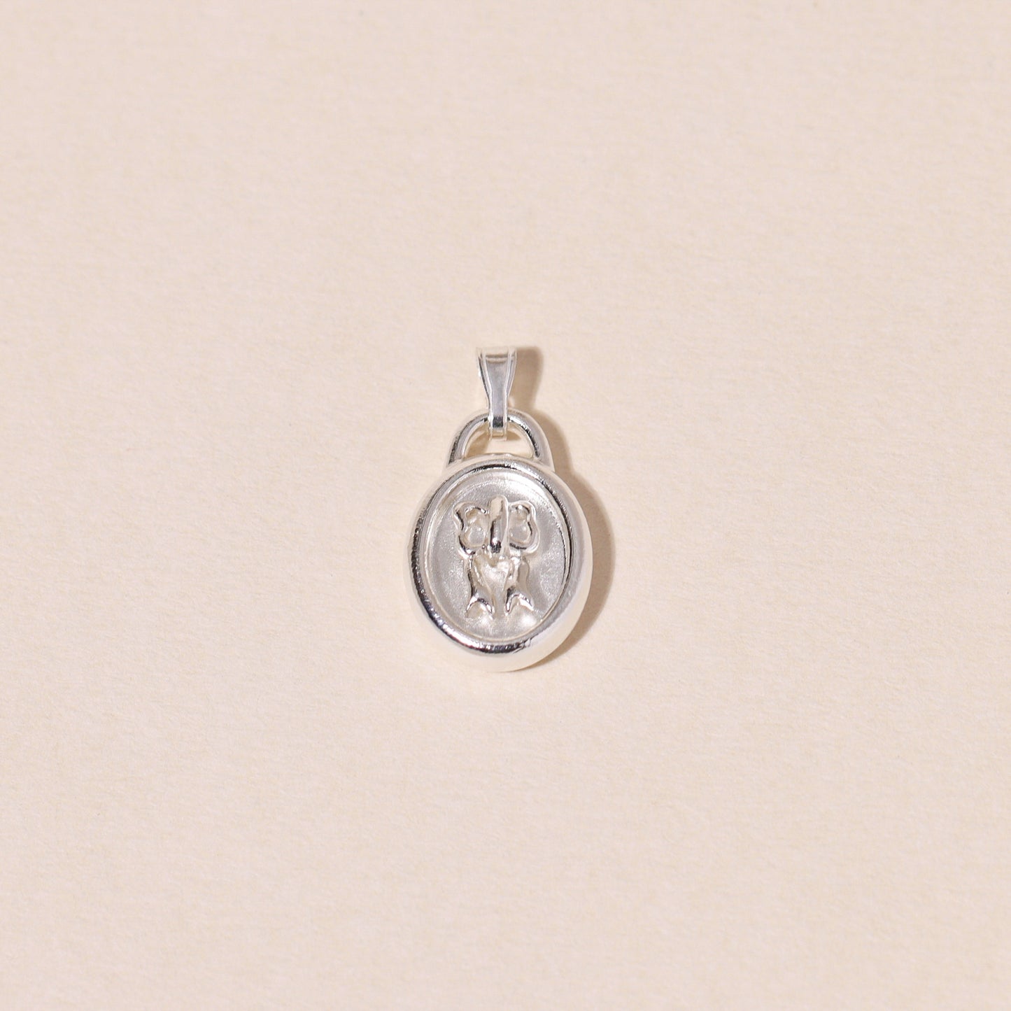 DIY Your Own Story Charm Necklace 925 Silver