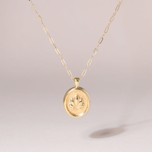 Oval-Framed Shell Charm Necklace 14K Solid Gold