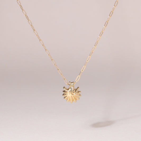 Roman Seashell Charm Necklace 14K Solid Gold